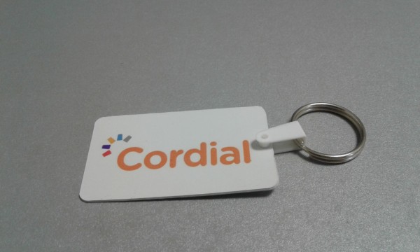 LLAVERO EN CARTON O PLASTICO 1 MM - Imagen 4